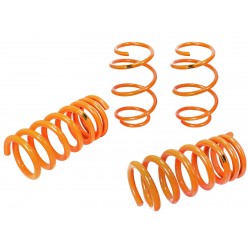AFE Control Lowering Springs Ford Mustang (S550) 2015-2016 I4/V6