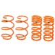 AFE Control Lowering Springs Ford Mustang (S550) 2015-2016 I4/V6