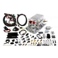 Holley Avenger EFI Stealth Ram™ MPFI Fuel Injection System, Small Block Chevy Vortec Heads