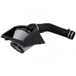 AFE Magnum FORCE Stage-2 Pro DRY S Cold Air Intake System Ford F-150 2009-2010 V8-4.6L (3-Valve)