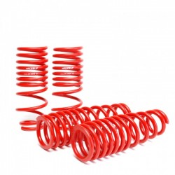 Skunk2 Lowering Springs Set Honda Civic 1992-1995