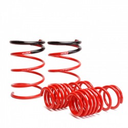 Skunk2 Lowering Coil Springs Set Honda Civic SI 2002-2005