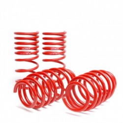 Skunk2 Lowering Coil Springs Set Honda Civic 2006-2011