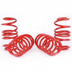 Skunk2 Lowering Springs Set Honda Civic 2012-2015