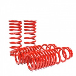 Skunk2 Lowering Coil Springs Set Acura Integra 1990-1993